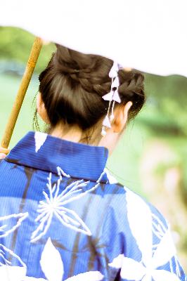 灭火宝贝2:决战丛林